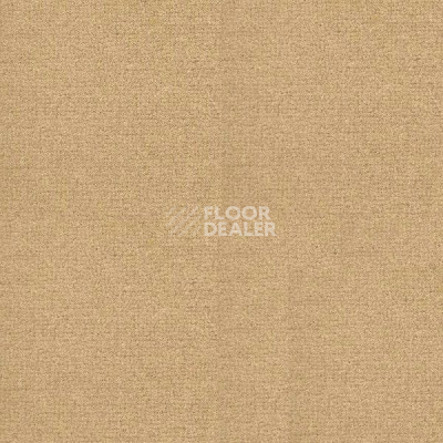 Ковролин Radici Abetone Straw 4978 фото 1 | FLOORDEALER